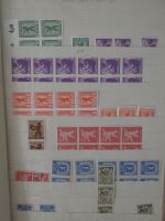DDR/SBZ DDR haupts.** und gestempelt besammelt in 6 Einsteck-Ordnern #AAA85