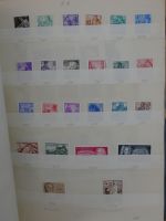 DDR/SBZ DDR haupts.** und gestempelt besammelt in 6 Einsteck-Ordnern #AAA85