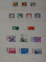 DDR/SBZ DDR haupts.** und gestempelt besammelt in 6 Einsteck-Ordnern #AAA85