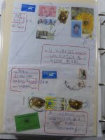 Israel Schöne Sammlung ab Anfängen mit etwas Palestina in 5 Leitz Ordnern #AAA94