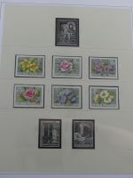 Österreich ab 1945-1995 ** teilbesammelt in 4 Safe-Alben #AAA99