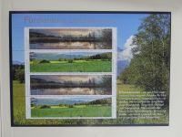 Liechtenstein ab 1961-2015 ** besammelt mit KBs u.a. in 5 Safe-Alben #AAB01