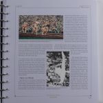 Motiv Olympiade 1948-2000 Abo Sammlung im Deutsche Post Ordner #AAB07