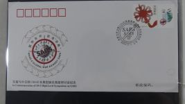 China Ganzsachen auf selbstgestalteten Seiten #AAB21