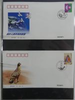 China Ganzsachen auf selbstgestalteten Seiten #AAB21
