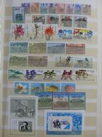 SBZ/ DDR Gutes Tauschalbum mit etlichen Besseren im Einsteck-Album #AAB26