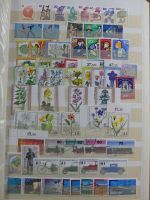 SBZ/ DDR Gutes Tauschalbum mit etlichen Besseren im Einsteck-Album #AAB26