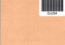 BRD Bund PSo 2 als Ganzsache ungebraucht #DJJ54