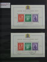 Island gute Sammlung ab Klassik - 20016 im 2 Einsteck-Alben und Mappe #AAC38