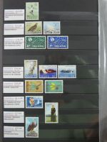 Island gute Sammlung ab Klassik - 20016 im 2 Einsteck-Alben und Mappe #AAC38