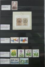 Island gute Sammlung ab Klassik - 20016 im 2 Einsteck-Alben und Mappe #AAC38