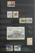 Island gute Sammlung ab Klassik - 20016 im 2 Einsteck-Alben und Mappe #AAC38