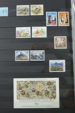 Island gute Sammlung ab Klassik - 20016 im 2 Einsteck-Alben und Mappe #AAC38