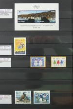 Island gute Sammlung ab Klassik - 20016 im 2 Einsteck-Alben und Mappe #AAC38