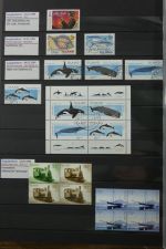 Island gute Sammlung ab Klassik - 20016 im 2 Einsteck-Alben und Mappe #AAC38