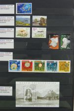 Island gute Sammlung ab Klassik - 20016 im 2 Einsteck-Alben und Mappe #AAC38