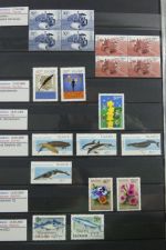 Island gute Sammlung ab Klassik - 20016 im 2 Einsteck-Alben und Mappe #AAC38