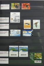 Island gute Sammlung ab Klassik - 20016 im 2 Einsteck-Alben und Mappe #AAC38