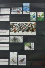 Island gute Sammlung ab Klassik - 20016 im 2 Einsteck-Alben und Mappe #AAC38