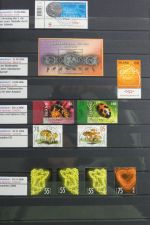 Island gute Sammlung ab Klassik - 20016 im 2 Einsteck-Alben und Mappe #AAC38