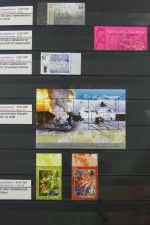 Island gute Sammlung ab Klassik - 20016 im 2 Einsteck-Alben und Mappe #AAC38
