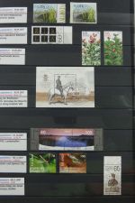 Island gute Sammlung ab Klassik - 20016 im 2 Einsteck-Alben und Mappe #AAC38