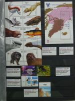 Island gute Sammlung ab Klassik - 20016 im 2 Einsteck-Alben und Mappe #AAC38