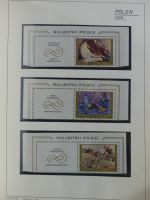 Polen 1968-1971 mit kleinen Lücken **/gest im Binder #AAC40