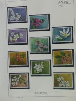 Polen 1968-1971 mit kleinen Lücken **/gest im Binder #AAC40
