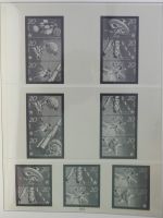 DDR Lindner Vordruck Zusammendrucke (leer) in 4 Lindner-Binder #AAC43