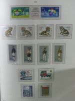 DDR ** komplett besammelt in 3 KA-BE Schwarten #AAC46