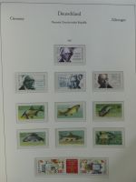 DDR ** komplett besammelt in 3 KA-BE Schwarten #AAC46