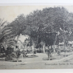 AK St. Thomas Emancipation Garden 1913 gebraucht #PG736