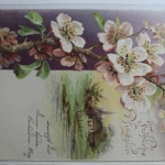 AK Deutschland Grußkarte 1903 gebraucht #PG742