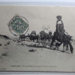 AK Laghouat Algerien En attendant le départ d'une caracane 1907 gebraucht #PH290