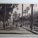 AK Laghouat Algerien Ortsansicht gebraucht #PH335