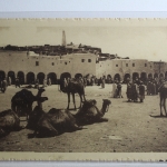 AK Ghardaia (Algerien) Marché aux chameaux ungebraucht #PH506