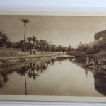 AK Témacin (Algerien) Les remprts ungebraucht #PH547
