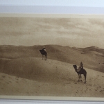 AK Touggourt (Algerien) La mer de sabie ungebraucht #PH549