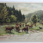 AK Bad Lauterberg / Harz Künstlerkarte (Erw. Spindler) 1901 gebraucht #PI204