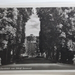 AK Potsdam Durchblick zum Schloss Sanssouci ungebraucht #PI225