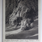 AK Schweiz Grußkarte 1929 gebraucht #PI379