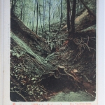 AK Buckow (Märk. Schweiz) Die Teufelsbrücke 1907 gebraucht #PJ049