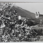 AK Frauenberg a. d. Enns Wallfahrtskirche Frauenberg ungebraucht #PJ971