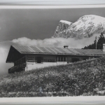 AK Mösern Der Menthof, 1300 m gegen Hohe Munde 2661,m gebraucht #PJ419