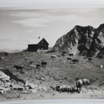 AK Brand (Vorarlberg) Almhütte 1930 m gebraucht #PJ504