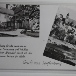 AK Senftenberg Mehrbildkarte gebraucht #PJ528