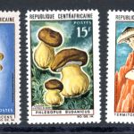 Zentralafrikanische Republik 132-136 postfrisch Pilze #JR793