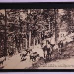 Frankreich Postkarte mit Stempel Olympische Spiele 1920 #GF573