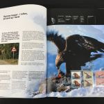 Norwegen Jahrbuch 2000 kpl. postfrisch mit Kassette #HC305